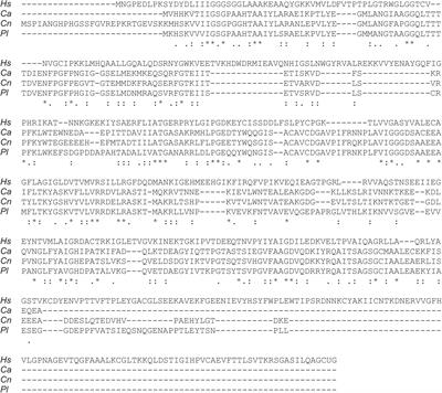 Frontiers Thioredoxin Reductase 1 Is A Highly Immunogenic Cell Surface Antigen In Paracoccidioides Spp Candida Albicans And Cryptococcus Neoformans Microbiology