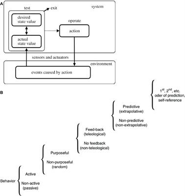 Frontiers The Computational Boundary Of A Self Developmental Bioelectricity Drives Multicellularity And Scale Free Cognition Psychology