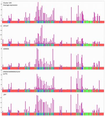 Frontiers | Functional Annotation of the Transcriptome of the Pig, Sus ...