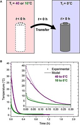 Frontiers Detection Of Lithium Plating During Thermally Transient Charging Of Li Ion Batteries Energy Research