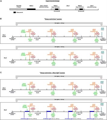 Frontiers | Daytime Exposure to Blue-Enriched Light Counters the ...