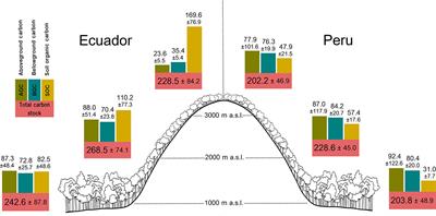 Frontiers Trade Offs Among Aboveground Belowground And Soil Organic Carbon Stocks Along Altitudinal Gradients In Andean Tropical Montane Forests Plant Science