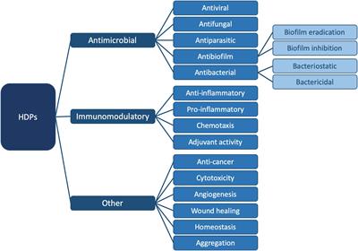 antimicrobial and antibacterial the same