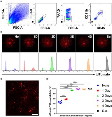 Frontiers | Single Eye mRNA-Seq Reveals Normalisation of the Retinal ...