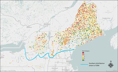 Frontiers | Forest Carbon Resilience of Eastern Spruce Budworm ...