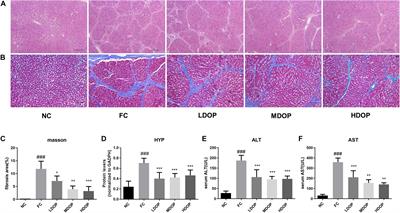 Frontiers | Dendrobium officinale Polysaccharide Protected CCl4-Induced ...