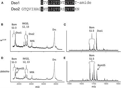 Frontiers | The Daisho Peptides Mediate Drosophila Defense Against a ...