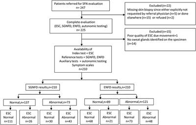 Frontiers | Diagnostic Accuracy of Electrochemical Skin Conductance in ...