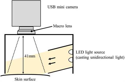 Frontiers Volitional Control Of Piloerection Objective Evidence And Its Potential Utility In Neuroscience Research Neuroscience