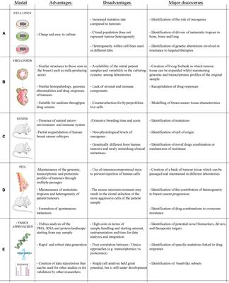 Frontiers | ‘Omics Approaches to Explore the Breast Cancer Landscape