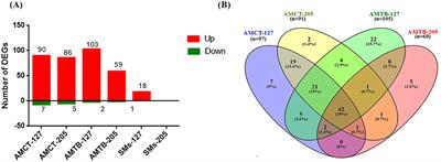 Frontiers  Splenic protection network revealed by transcriptome