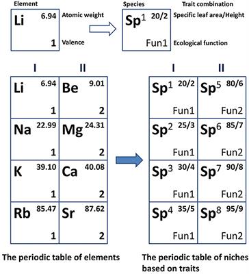 Frontiers | Plant Functional Niches in Forests Across Four Climatic ...