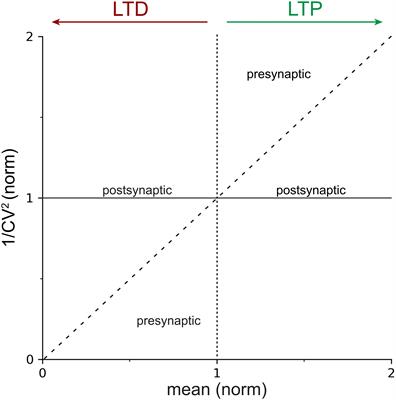 Frontiers A Practical Guide To Using Cv Analysis For Determining The Locus Of Synaptic Plasticity Frontiers In Synaptic Neuroscience