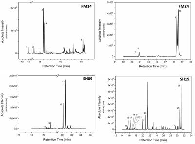 Frontiers A Bioguided Approach For The Screening Of Antibacterial Compounds Isolated From The Hydroalcoholic Extract Of The Native Brazilian Bee S Propolis Using Mollicutes As A Model Microbiology