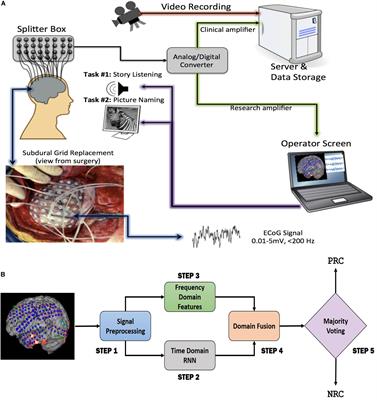 Frontiers | Deep Learning Provides Exceptional Accuracy to ECoG-Based ...