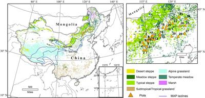 Frontiers | Silicon Affects Plant Stoichiometry and Accumulation of C ...