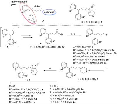 Frontiers Novel Chemical Scaffolds To Inhibit The Neutral Amino Acid Transporter B0at1 Slc6a19 A Potential Target To Treat Metabolic Diseases Pharmacology