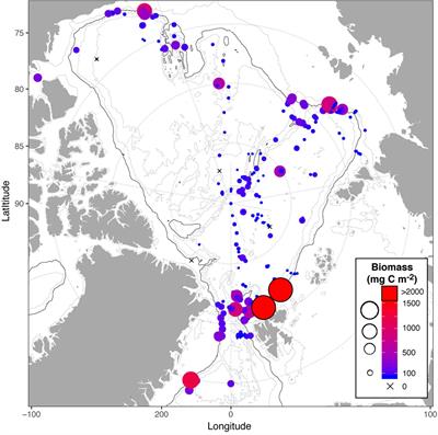Frontiers What Feeds The Benthos In The Arctic Basins Assembling A Carbon Budget For The Deep Arctic Ocean Marine Science