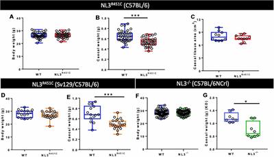 Frontiers Altered Caecal Neuroimmune Interactions In The Neuroligin 3r451c Mouse Model Of Autism Cellular Neuroscience