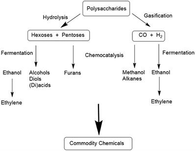 Frontiers | Catalytic Oxidations in a Bio-Based Economy