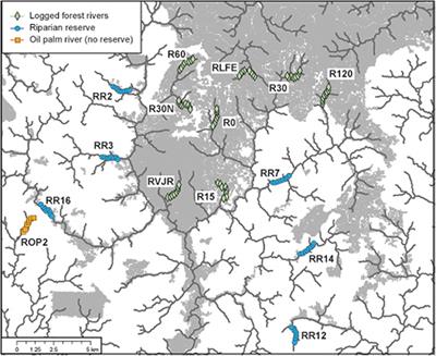 Frontiers  Riparian Reserves Promote Insectivorous Bat Activity 