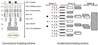 Frontiers Nutrient Dense Orange Fleshed Sweetpotato Advances In Drought Tolerance Breeding And Understanding Of Management Practices For Sustainable Next Generation Cropping Systems In Sub Saharan Africa Sustainable Food Systems