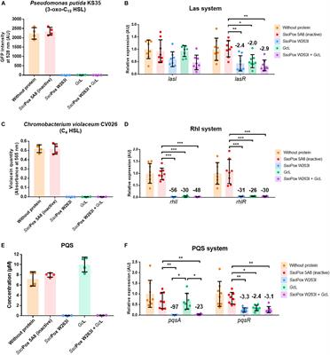 Frontiers Lactonase Specificity Is Key To Quorum Quenching In Pseudomonas Aeruginosa Microbiology