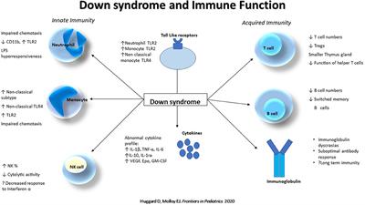 down syndrome diagram