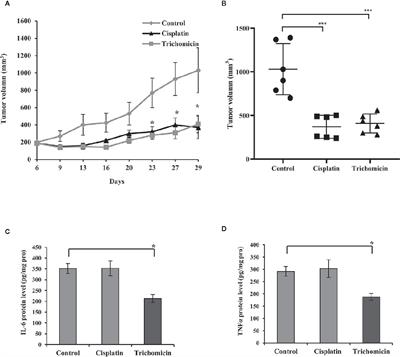 Frontiers | Trichomicin Suppresses Colorectal Cancer via Comprehensive ...