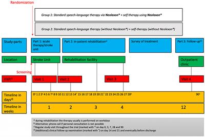 Frontiers | Follow-Up in Aphasia Caused by Acute Stroke in a ...