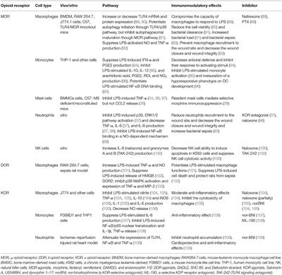 Frontiers | Toll-Like Receptor 4 (TLR4)/Opioid Receptor Pathway ...