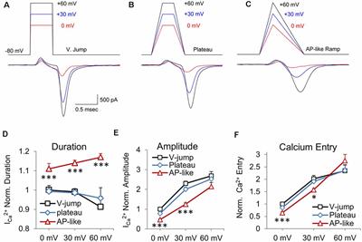 Frontiers | Presynaptic Calcium Channel Open Probability and Changes in ...