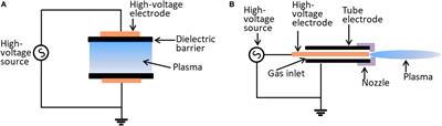 Frontiers | Fighting Mixed-Species Microbial Biofilms With Cold ...