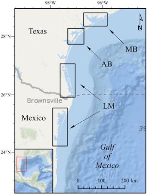 Synopsis of the biological data on the green turtle (Chelonia mydas)  (linnaeus 1758) - Documents - USFWS National Digital Library