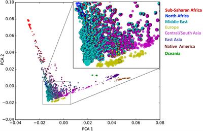 Frontiers Genetic Diversity And Low Stratification Of The Population Of The United Arab Emirates Genetics