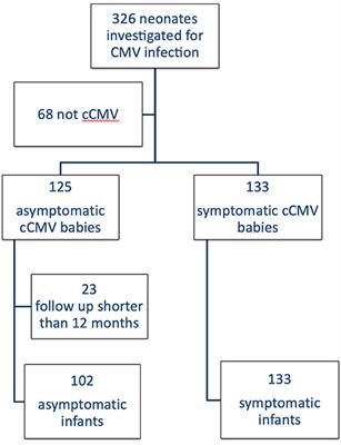 congenital cmv calcifications