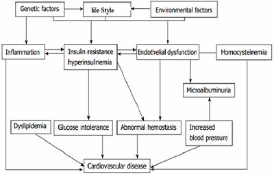 Prediction of 10-Year Cardiovascular Disease Risk, by Diabetes status and  Lipoprotein-a levels; the HellenicSCORE II+ - ScienceDirect