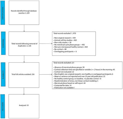 Frontiers Higher Circulating Cortisol In The Follicular Vs Luteal Phase Of The Menstrual Cycle A Meta Analysis Endocrinology