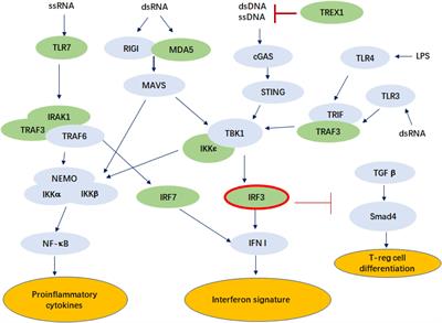 Frontiers Genome Wide Association Mapping Identifies Novel Loci For