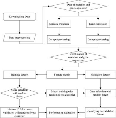 Frontiers | TOOme: A Novel Computational Framework to Infer Cancer ...