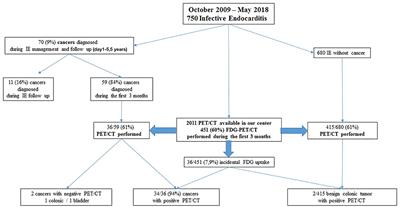 Frontiers | FDG-PET/CT Incidental Detection of Cancer in Patients ...