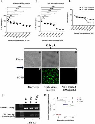 Frontiers Azadirachta Indica A Juss Ameliorates Mouse Hepatitis Virus Induced Neuroinflammatory Demyelination By Modulating Cell To Cell Fusion In An Experimental Animal Model Of Multiple Sclerosis Cellular Neuroscience