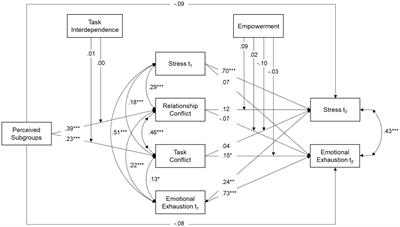 Frontiers | Linking Diversity and Mental Health: Task Conflict Mediates ...