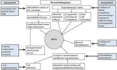 Comorbidities and symptoms of postural orthostatic tachycardia syndrome