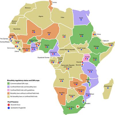 Frontiers | A Framework for Effective Bt Maize IRM Programs ...