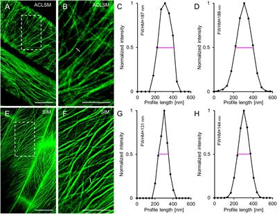 Frontiers | Complementary Superresolution Visualization of Composite ...