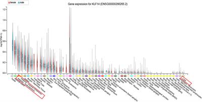 Frontiers | Transcription Factor KLF14 and Metabolic Syndrome