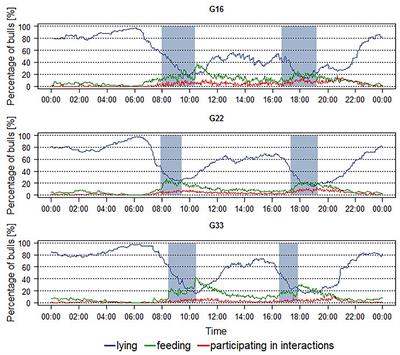 Frontiers  Large Group Housing Systems in Fattening Bulls—Comparison of  Behavior and Performance