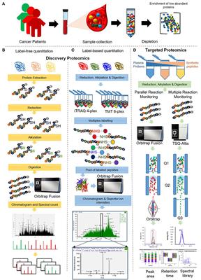 Frontiers | An Integrated Quantitative Proteomics Workflow for Cancer ...