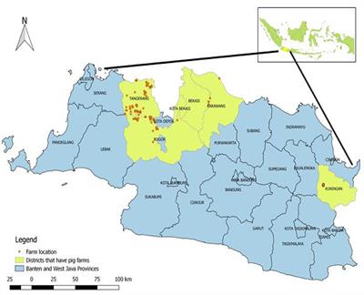 Frontiers | Herd-Level Risk Factors for Swine Influenza (H1N1 ...